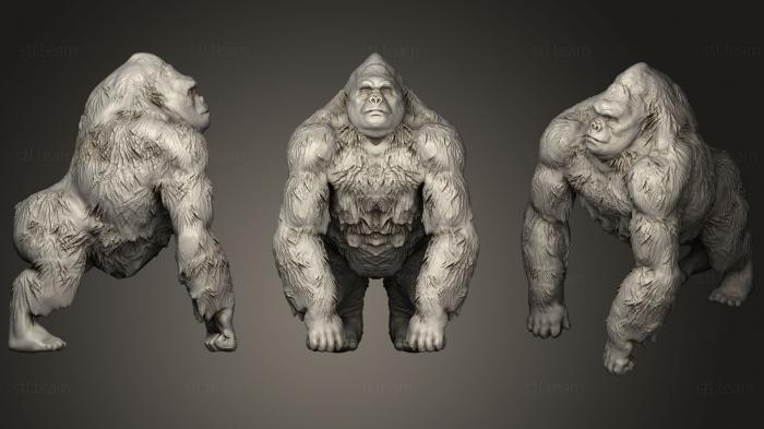 3D model Sculpt Gorilla (STL)